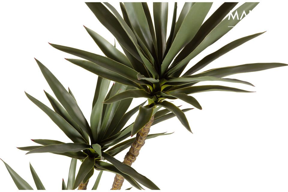 La plante artificielle verte Yucca appartient à la collection de la marque néerlandaise