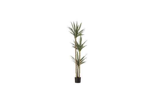 Plante artificielle verte Yucca