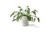 Miniature Pot à plantes en grès blanc Chubby 4