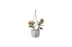 Miniature Pot de fleurs en grès gris Ileana 3