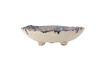 Miniaturansicht Schale D18,5xH5 cm aus blauem Steingut Amalia 6