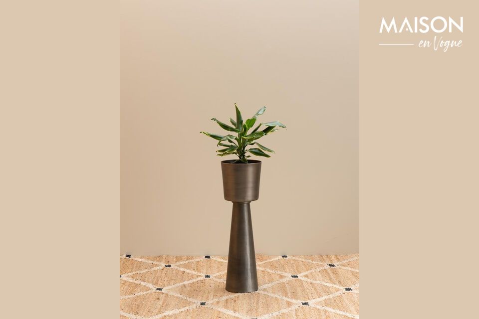 Con un\'altezza di 84 cm