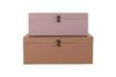 Miniatura Set di 2 lattine in metallo beige e rosa 3
