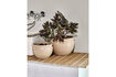 Miniature Set of 2 Earthenware Planters Beige Vale 2