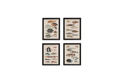 Set of 4 black Renard wooden frames