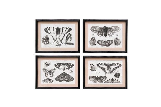 Set of 4 black wooden frames Butterflies