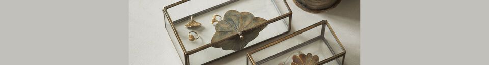 Benadrukte materialen Set van 2 glazen en ijzeren dozen Brass Leaf