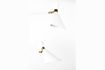 Miniature Shady white double wall lamp 6