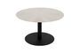 Miniature Silver steel coffee table Snow Brushed Clipped