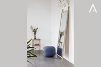 Spiegels Bold Monkey