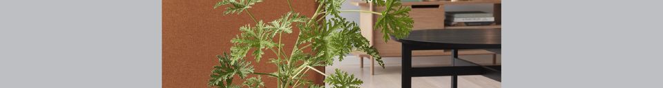 Mise en avant matière Support de plante en bois beige Nomade