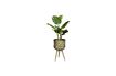 Miniature Support Pour Plantes Botanique taille M 11