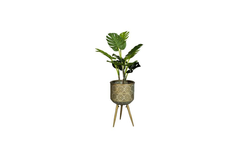 Support Pour Plantes Botanique taille M - 9