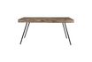 Miniature Suri Table 160X78 7