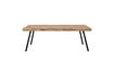 Miniature Suri Table 220X100 1