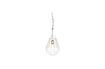 Miniature Suspension Bullia 1
