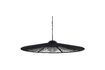 Miniature Suspension en fer noir Belle Pendant 6