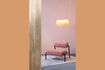 Miniature Suspension Rani Rose 8