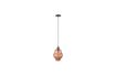 Miniature Suspension Rose coloris terra 9