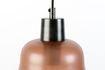 Miniature Suspension Rose coloris terra 4