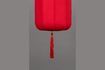 Miniature Suspensoir Suoni rouge 5