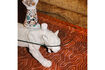Miniature Table basse Dope as Hell blanche 2
