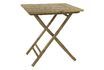 Miniature Table Cay Tre 3