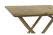 Miniature Table Cay Tre 2