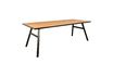Miniature Table Seth 220X90 en chêne 8