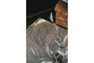 Miniature Tapis 200x300 cm en polyester beige Maryland 3