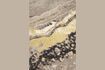 Miniature Tapis 200x300 cm en tissu gris Solar 3