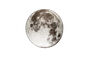 Miniatura Tappeto rotondo Ø 280 cm grigio Moon Foto ritagliata