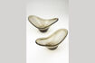Miniatura Tray Dale 7