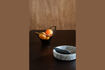 Miniatura Tray Dale 2
