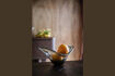 Miniatura Tray Dale 3