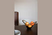 Miniatura Tray Dale 5