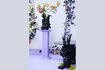 Miniature Vase en résine noir Dragonized 2