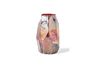 Miniature Vase en verre rouge Luster 4