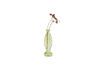 Miniatura Vaso in vetro verde chiaro H20 Fish 4