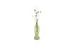 Miniatura Vaso in vetro verde chiaro H30 Fish 3
